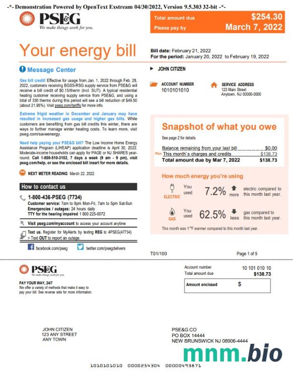 USA New York PSEG rachunek za media, Word i PDF template, 5 strony 1